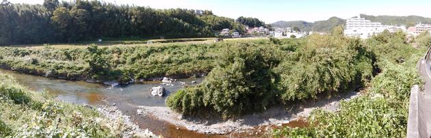 東畦野オオサンショウウオの棲む川、一庫大路次川の写真