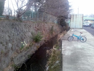 キセラ川西市街地水路の写真