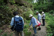 市民団体による植物調査の写真