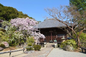 満願寺