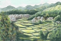 笹部の棚田