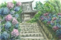 頼光寺のあじさい