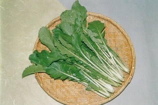高山真菜の画像