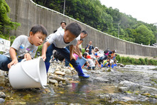一庫大路次川でのアユ放流の様子