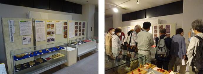速報展