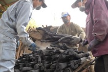 炭焼きの様子