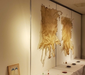 岡本航展示作品の写真2
