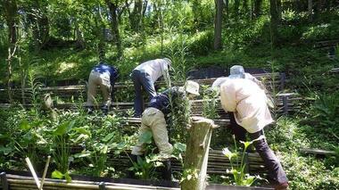 野草花壇の手入れの様子