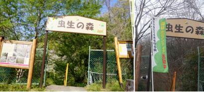 虫生の森の入口