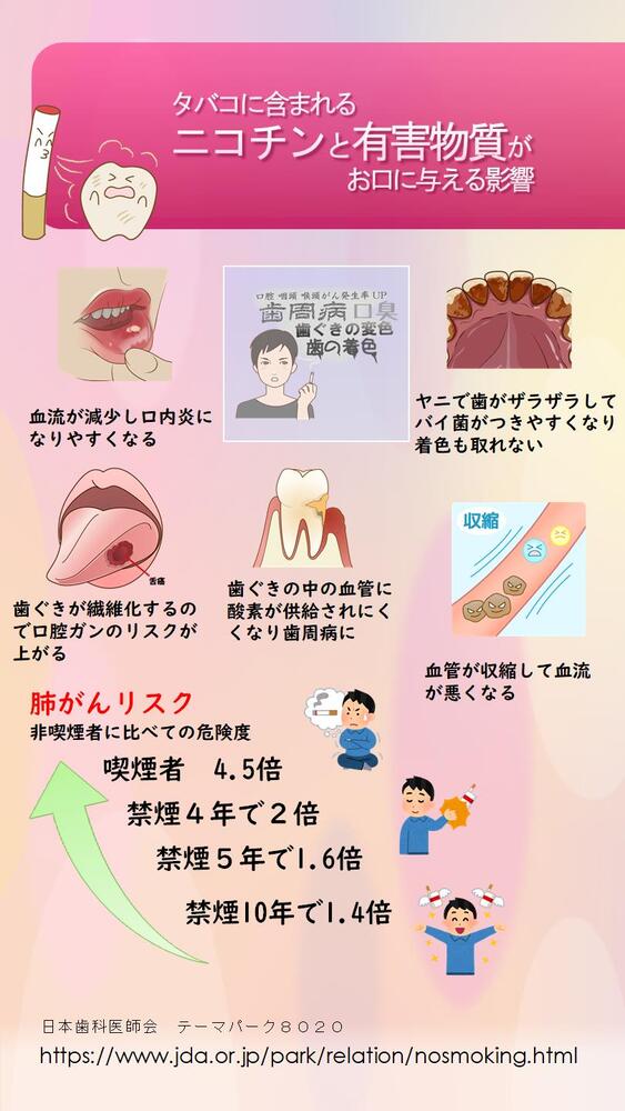 タバコと歯周病の図2ページ目