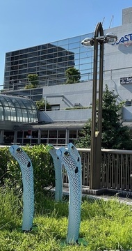川西能勢口南側デッキ植栽の写真