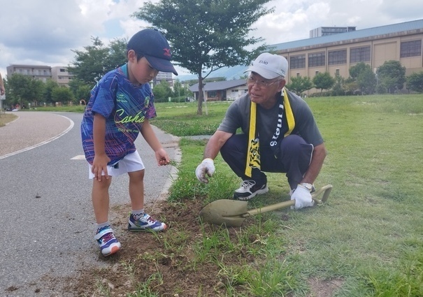 協力して除草する写真